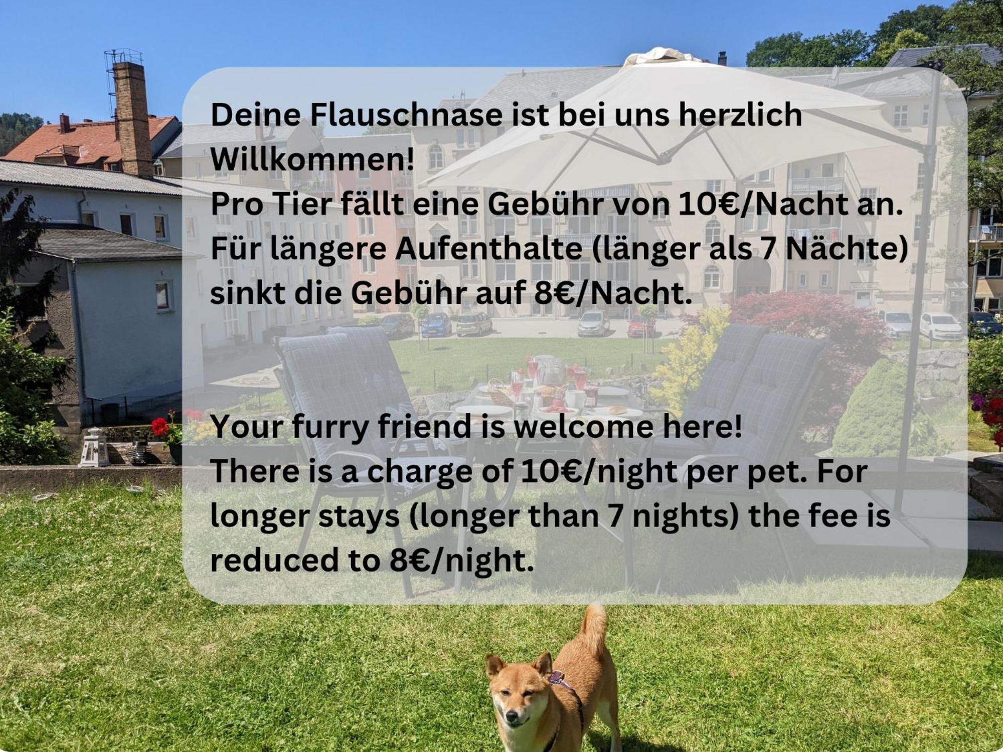 Hw2 - Urlaubsmagie - Sauna & Whirlpool Fuer Alle Sebnitz Exterior foto
